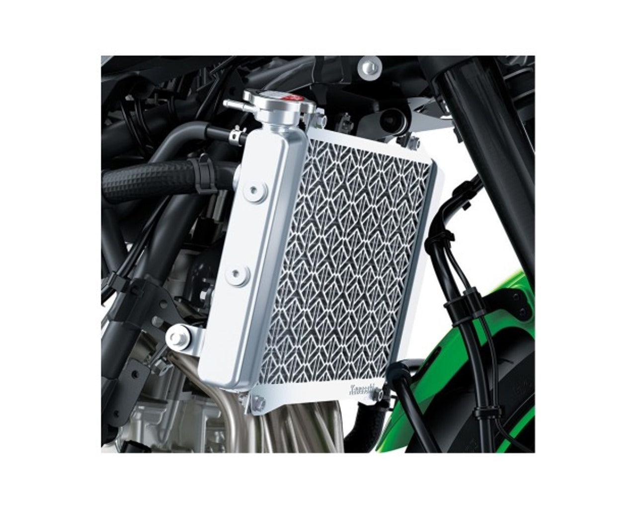 Kawasaki Radiator Screen Ninja ZX-4RR 99994-1887