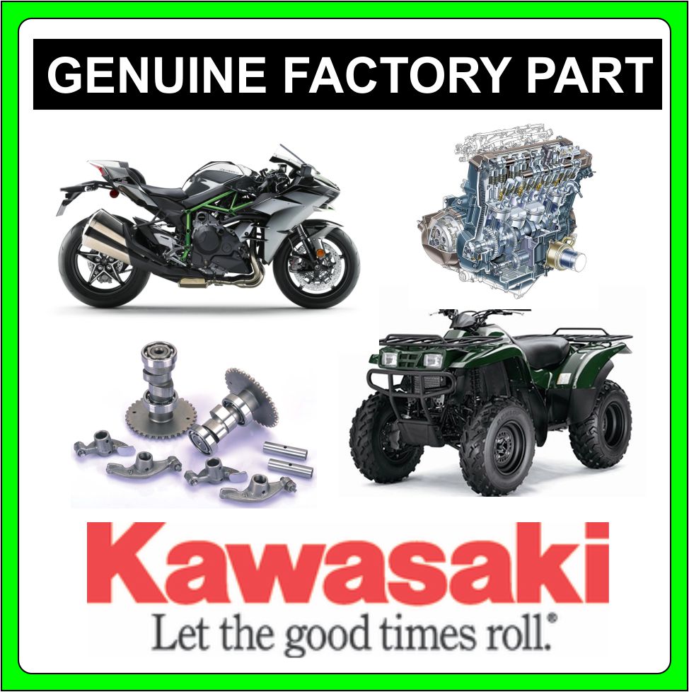 Kawasaki OEM Side Air Filter 2020 -2022 KRX1000 Teryx 1000 49064-0013