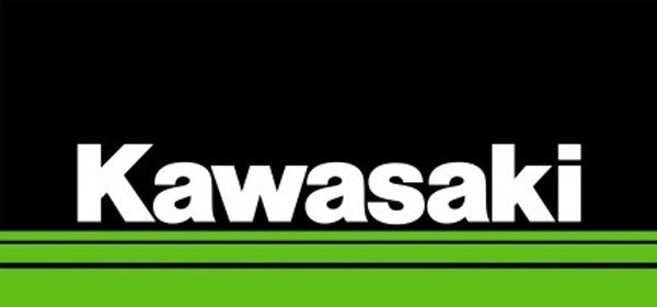 Kawasaki Factory Service Manual 2019 Ninja ZX6R ZX-6R 99924-1547-31